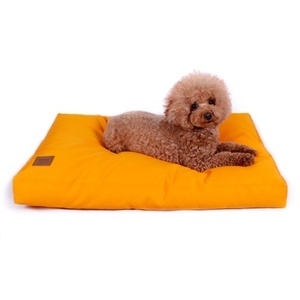 Microfiber Cushion [ Solid Yellow ] 
